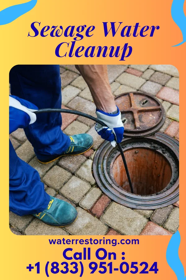 Sewage Water Cleanup in Inglewood, NE
